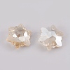 K9 Glass Rhinestone Pendants GLAA-F083-03A-3