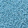 MIYUKI Delica Beads X-SEED-J020-DB0217-3