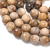 Natural Petrified Wood Beads Strands G-L642-F09-8mm-4