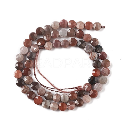 Natural Petrified Wood Beads Strands G-K332-B02-1