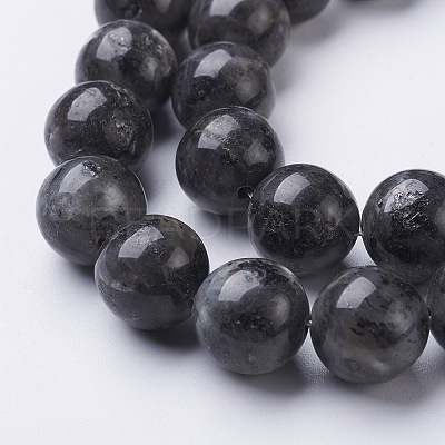 Natural Larvikite Beads Strands GSR12mmC128-1
