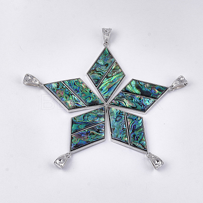 Abalone Shell/Paua Shell Pendants RESI-S376-01-1