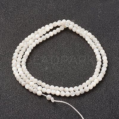 Natural White Shell Beads Strands X-G-G680-54-1