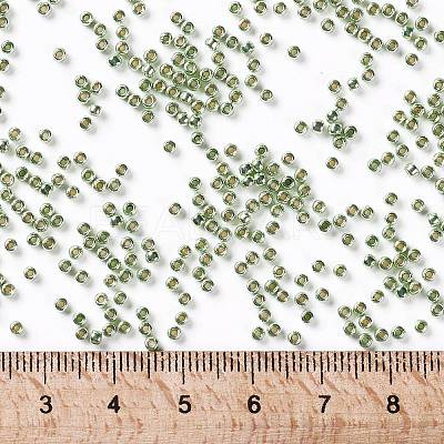 TOHO 11/0 Round Beads X-SEED-TR11-PF0560-1