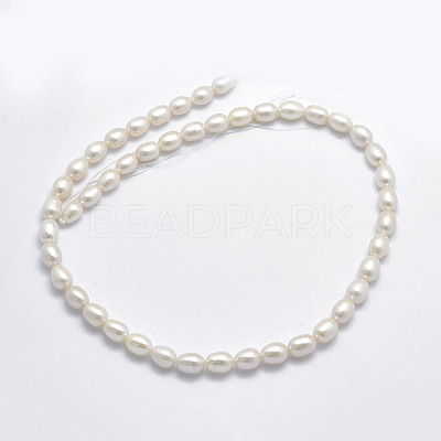 Natural Cultured Freshwater Pearl Beads Strands PEAR-F007-73-1