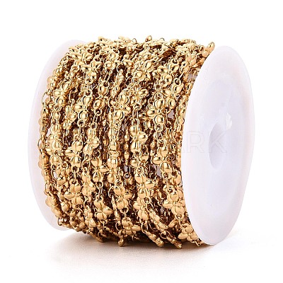 5M 304 Stainless Steel Insects Link Chains CHS-T071-45G-1