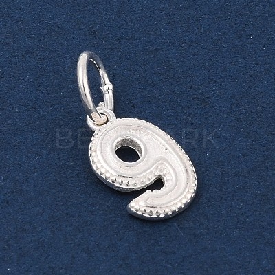 Number Series 925 Sterling Silver Charms STER-Q002-01J-1