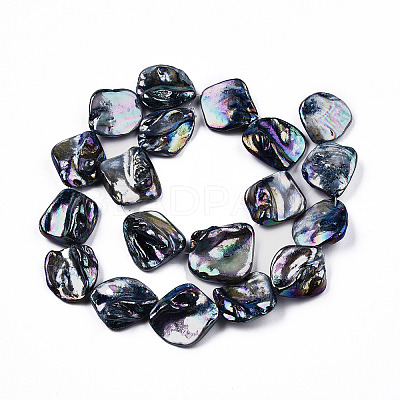 Freshwater Shell Beads Strands X-SHEL-N026-204-1