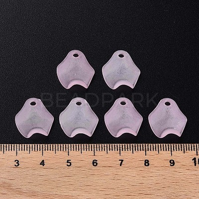 Transparent Acrylic Beads MACR-S373-106-D05-1