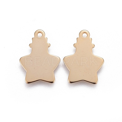 304 Stainless Steel Pendants STAS-F192-041G-1