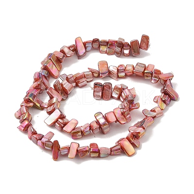 Natural Freshwater Shell Beads Strands BSHE-H018-07-1