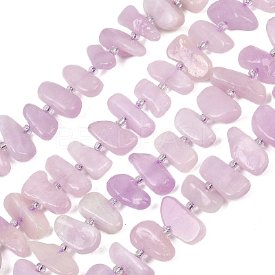 Natural Kunzite Beads Strands G-L657-E05-01-1