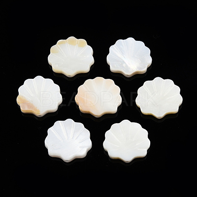 Natural Freshwater Shell Beads SHEL-T007-02-1