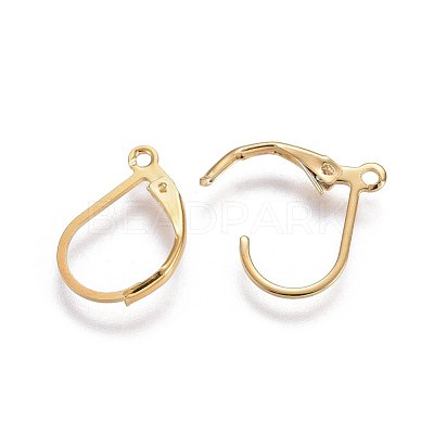 304 Stainless Steel Leverback Earring Findings X-STAS-L221-09G-1