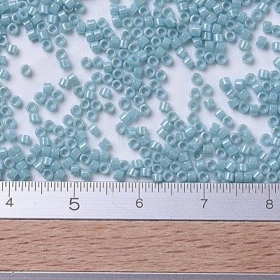 MIYUKI Delica Beads SEED-MY11-DB0217-1