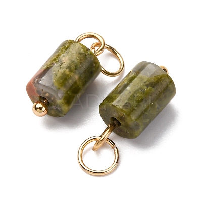 Natural Unakite Column Charms with 304 Stainless Steel Jump Rings G-Q032-01B-1