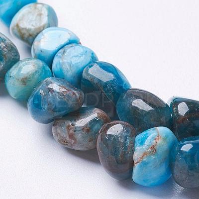 Natural Apatite Beads Strands G-F506-12-1