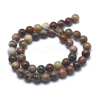 Natural Petrified Wood Beads Strands G-I254-07B-1