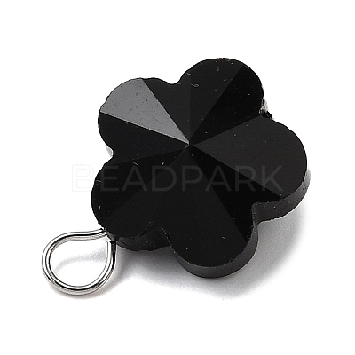 Transparent Glass Pendants PALLOY-JF04099-01-1