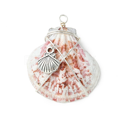 3Pcs Silver Copper Wire Wrapped Natural Scallop Shell Pendants PALLOY-TA00186-1