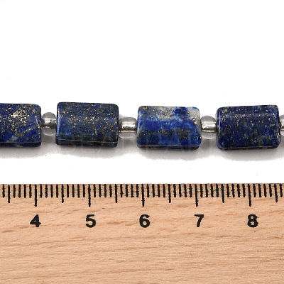 Natural Lapis Lazuli Beads Strands G-Z087-C01-1