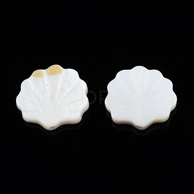 Natural Freshwater Shell Beads SHEL-T007-02-1