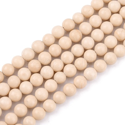 Natural Fossil Beads Strands X-G-E110-6mm-2-1