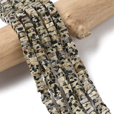 Natural Dalmatian Jasper Beads Strands G-A280-C07-01-1