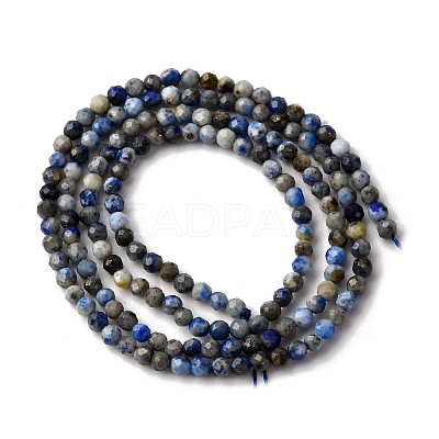 Natural Lapis Lazuli Beads Strands LS-G-L629-B01-2mm-03-1