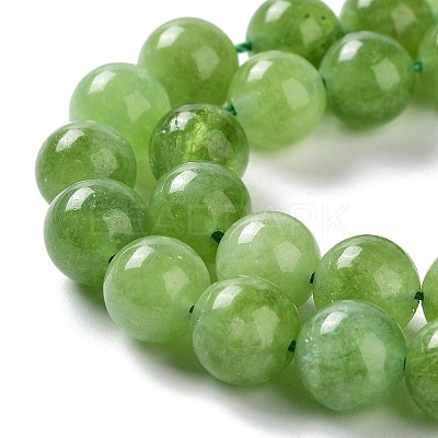 Dyed Natural Malaysia Jade Beads Strands G-G021-02C-04-1