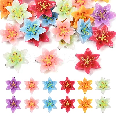 30Pcs 6 Colors Opaque Resin Pendants CRES-YW0002-84-1