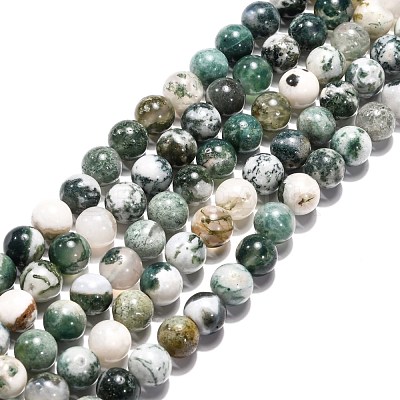Natural Tree Agate Beads Strands G-H1633-8MM-1