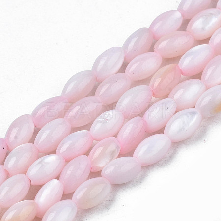 Natural Freshwater Shell Beads Strands SHEL-N003-25-B06-1