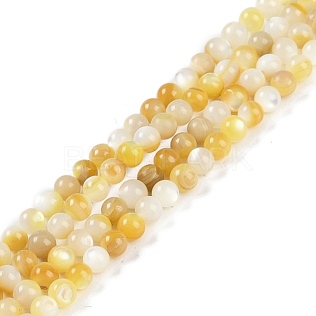 Natural Trochus Shell Beads Strands BSHE-H109-12B-1