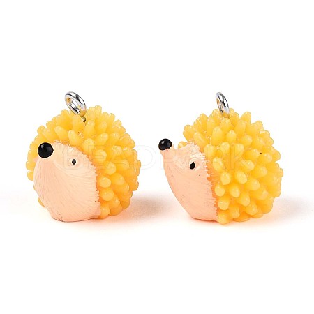 Autumn Theme Opaque Resin Pendants RESI-T028-78-1