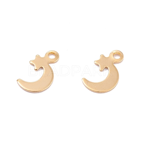 201 Stainless Steel Charms STAS-B001-27G-1