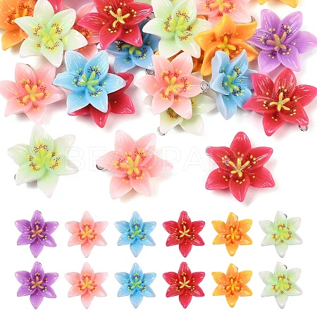 30Pcs 6 Colors Opaque Resin Pendants CRES-YW0002-84-1