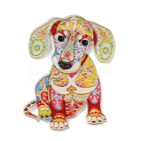 Animal Theme Double-sided Printed Acrylic Pendants OACR-L017-04D-1