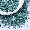 MIYUKI Delica Beads SEED-J020-DB1183-1