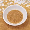 MIYUKI Delica Beads SEED-X0054-DB0742-2