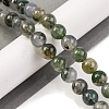 Natural Moss Agate Beads Strands G-J358-01-10MM-1