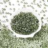 Spray Painted Transparent Glass Seed Beads SEED-T007-05B-1