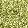 Glass Seed Beads X-SEED-S042-04B-24-3