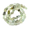 Natural Prehnite Beads Strands G-F521-29-5