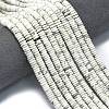 Frosted Natural Howlite Beads Strands G-K389-C17-01-2