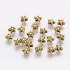 Tibetan Style Alloy Beads LS-TIBEB-01-AG-RS-2