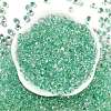 6/0 Spray Paint Fringe Glass Seed Beads X1-SEED-H003-11L-3