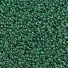 MIYUKI Round Rocailles Beads X-SEED-G007-RR0173-3