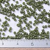MIYUKI Delica Beads SEED-J020-DB0391-4