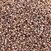 MIYUKI Delica Beads SEED-X0054-DB2504-2